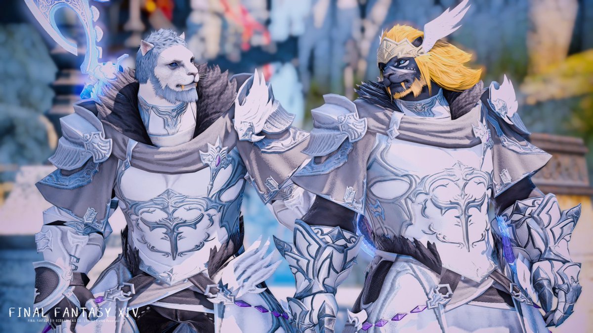 ぬこたんく tweet media