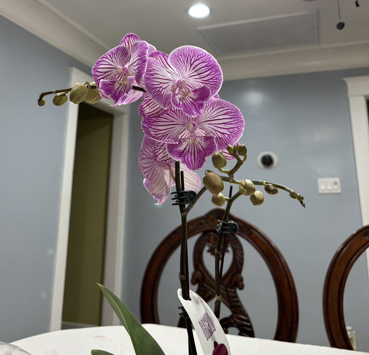 r ⛅️ tweet media