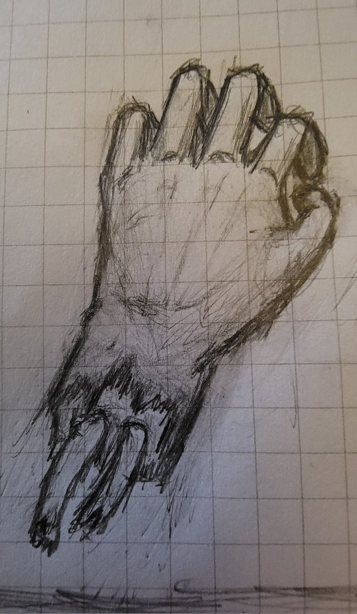 Jess 🍂 tweet media