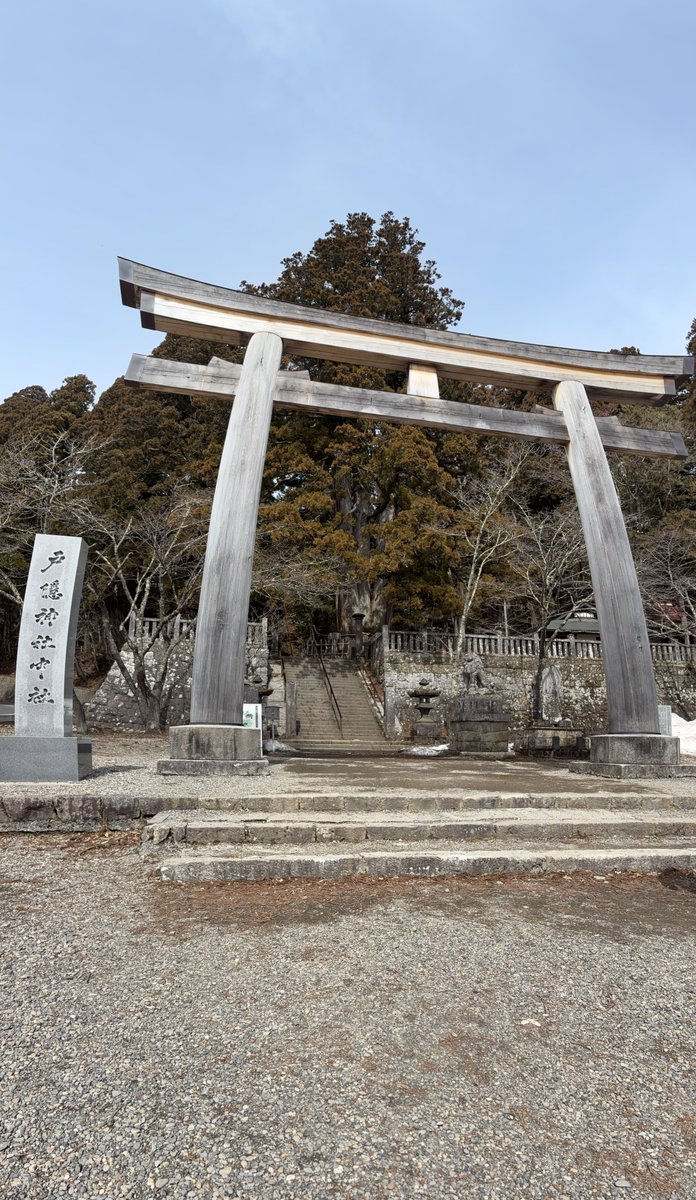 みほパンダ tweet media