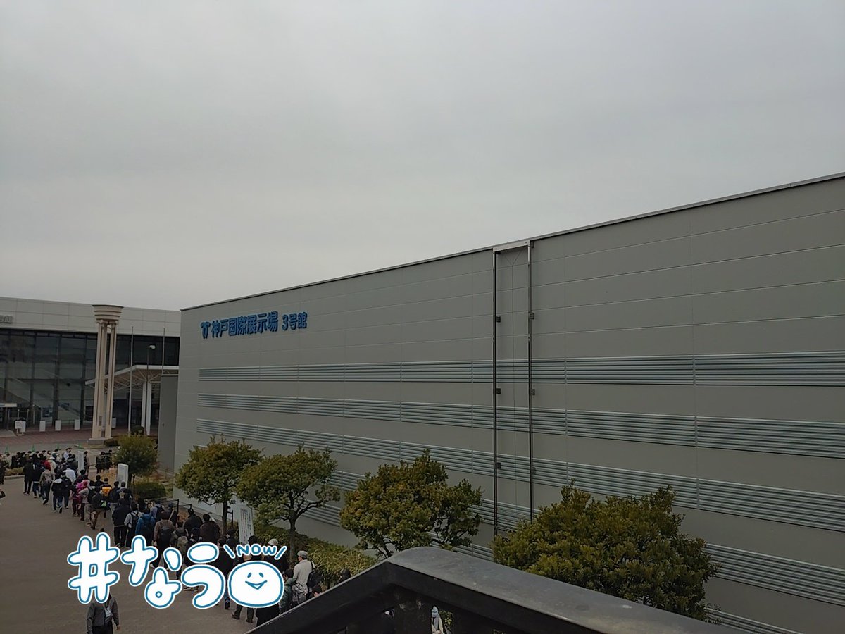 どなあ⚡ tweet media