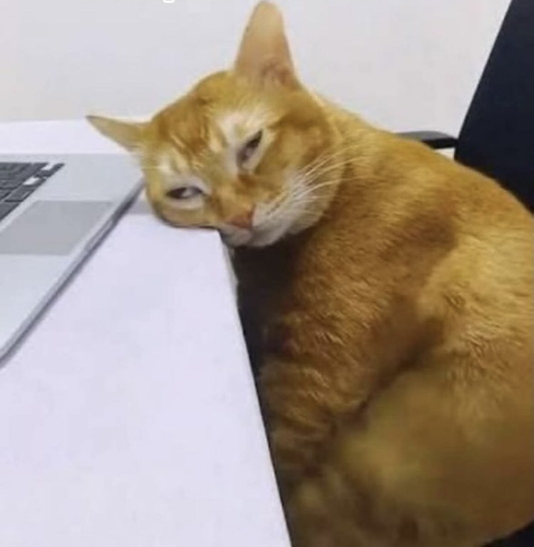 Dr. Krusty Intravenoso tweet media