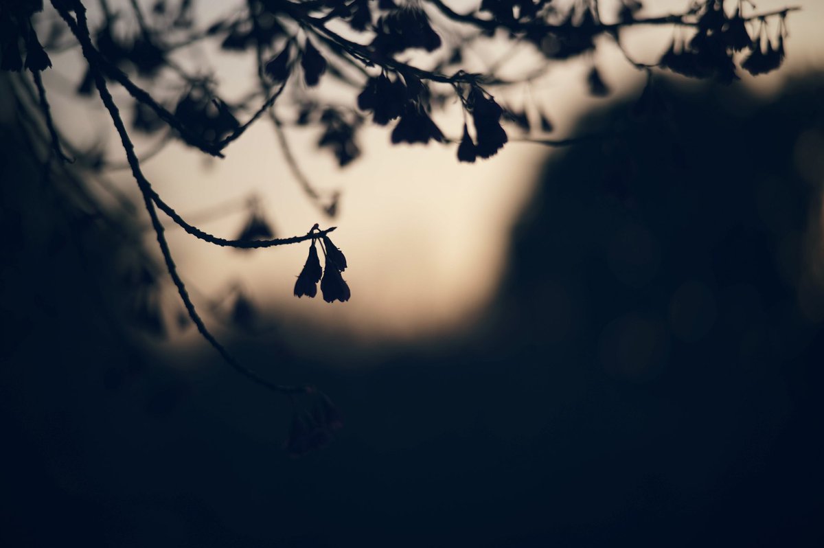 かっくん tweet media