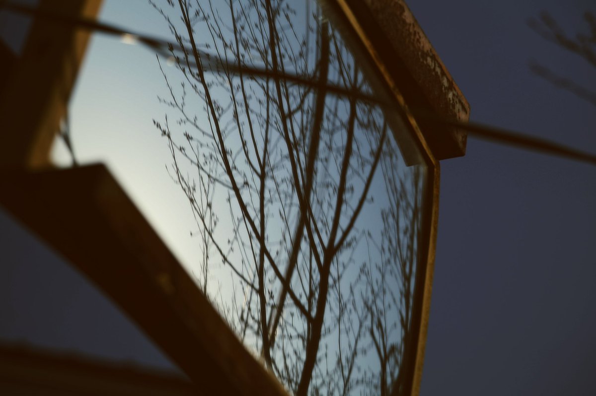 かっくん tweet media