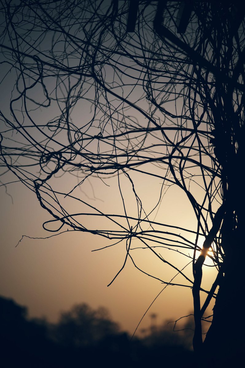 かっくん tweet media