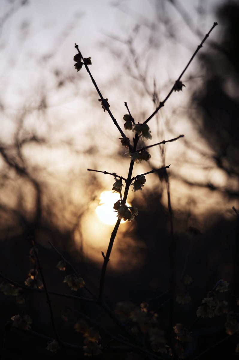 かっくん tweet media