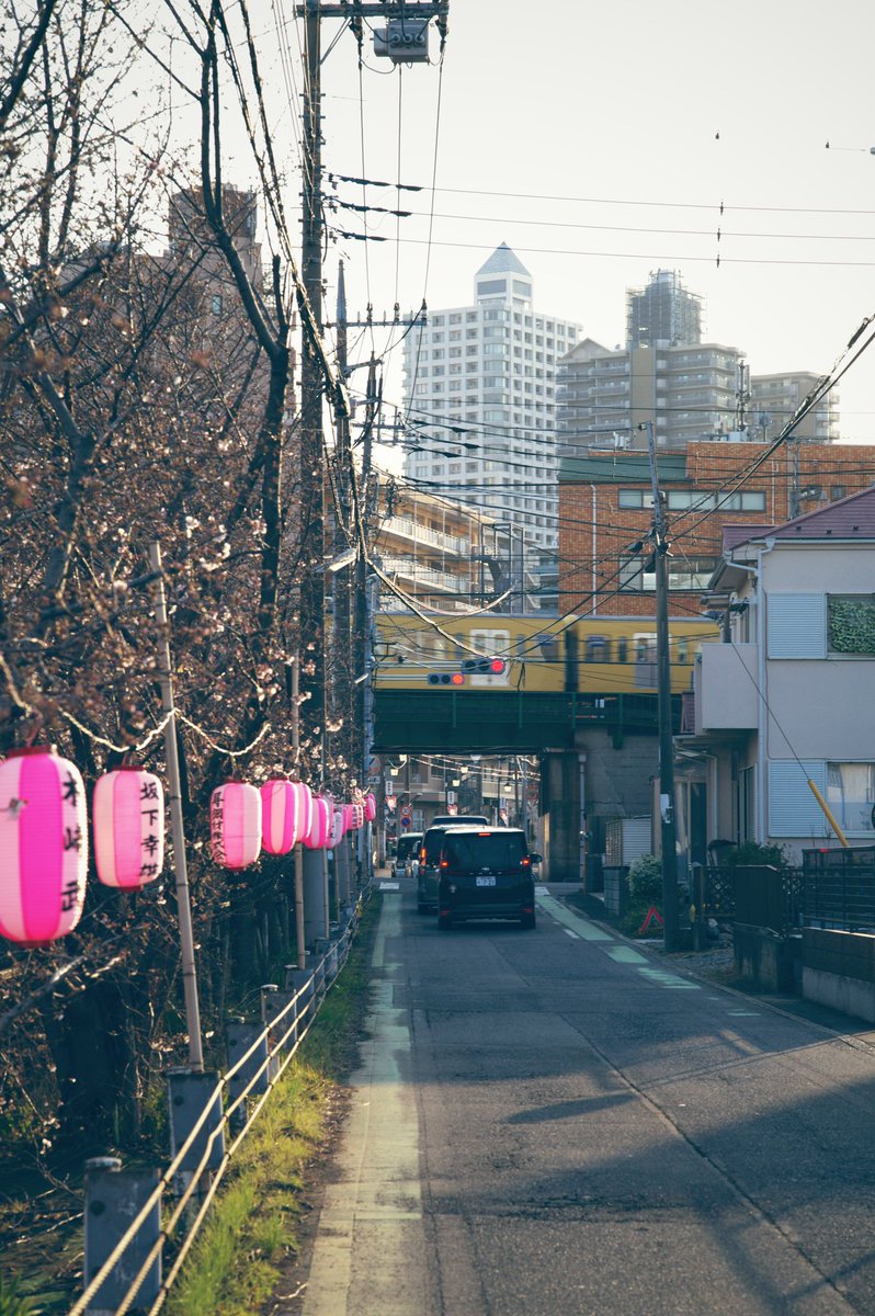 かっくん tweet media