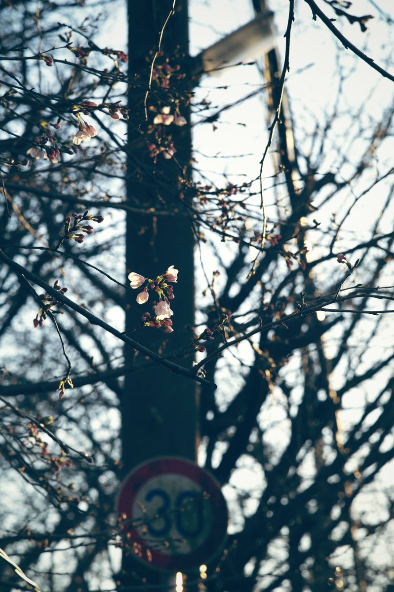 かっくん tweet media