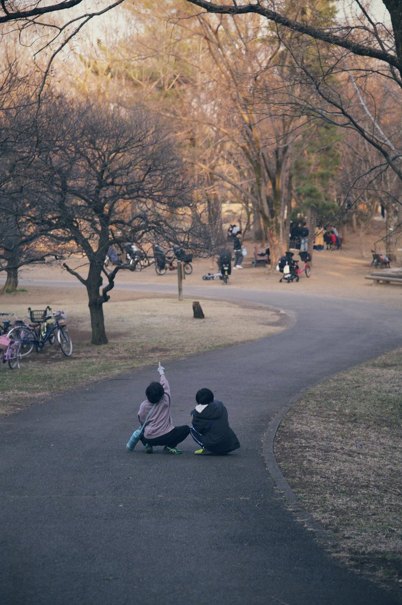 かっくん tweet media