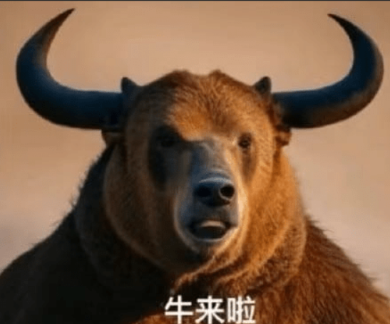 XIFAN🐬TermMax tweet media