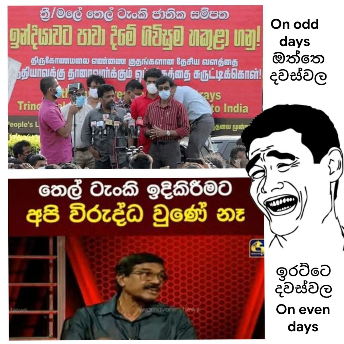 Amali @ BizColombo tweet media