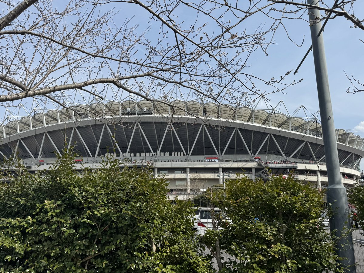 N.ザキ（ヤマ） tweet media