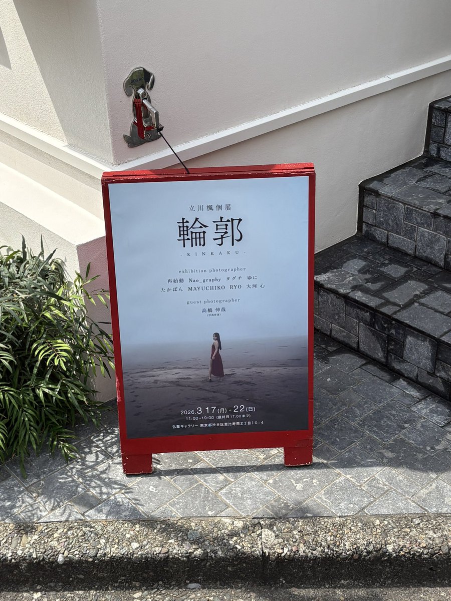 荒蒔 ちから tweet media