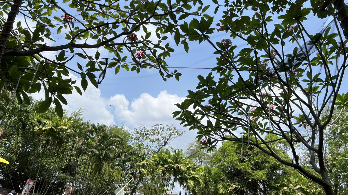 คู่กทมN@n/Tom tweet media