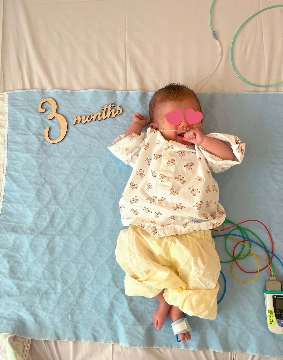 ひとこ tweet media