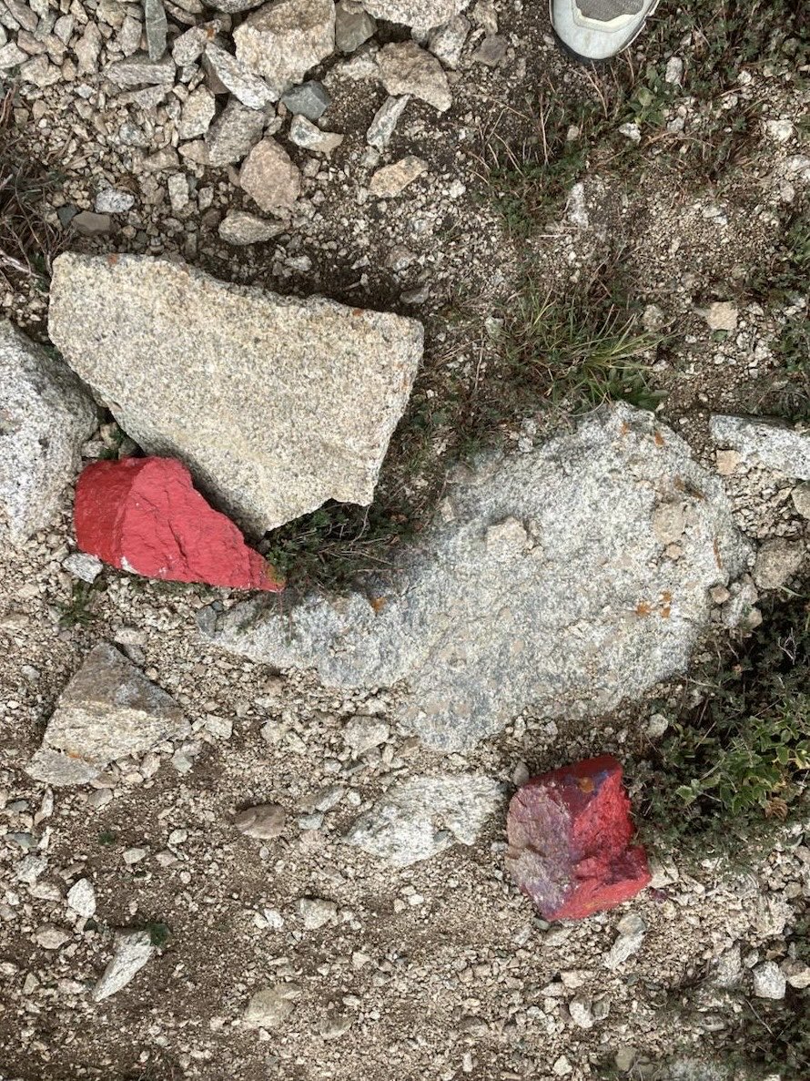 Maksim Subota tweet media