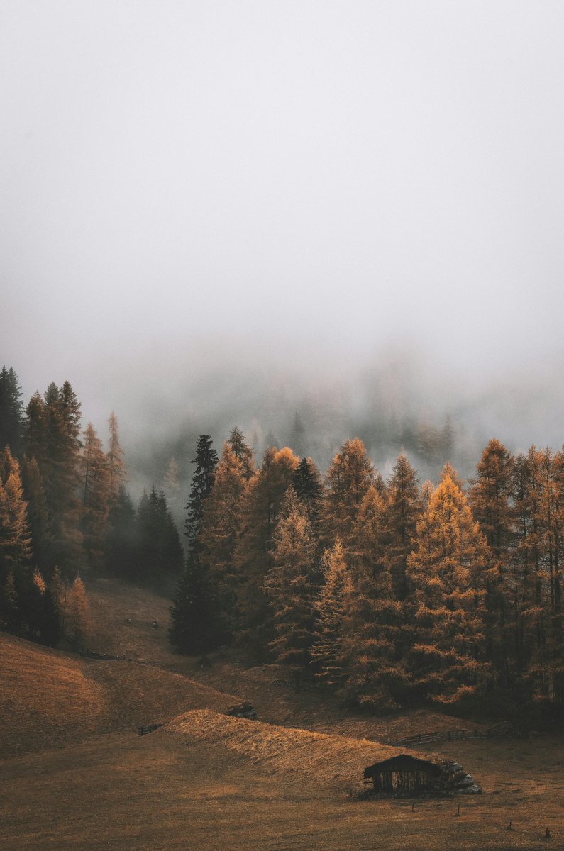 purenature_1's tweet image. Lost in the autumn clouds 🍁🍂☁️ #Fall