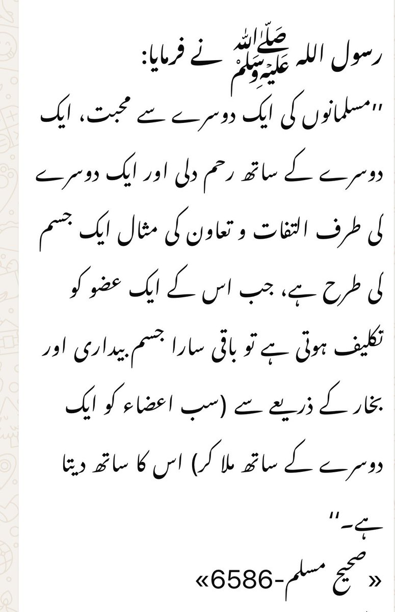 OryaMaqboolJan's tweet photo. رسول اکرم صلی اللہ علیہ وآلہ وسلم نے مسلمان کی پہچان ایک جسم سے دی ہے جس کی ترجمانی کرتے ہوئے  اقبال نے کرتے ہوئے کہاتھا 
ایک ہوں مسلم حرم کی پاسبانی کے لئیے 
نیل کے ساحل سے لے کر تابخاک کاشغر 
قوموں کی سرحدیں اللہ اور اس کے رسول کے نزدیک کوئی حثیت نہیں رکھتیں ۔ https://t.co/0WflMbI6bJ