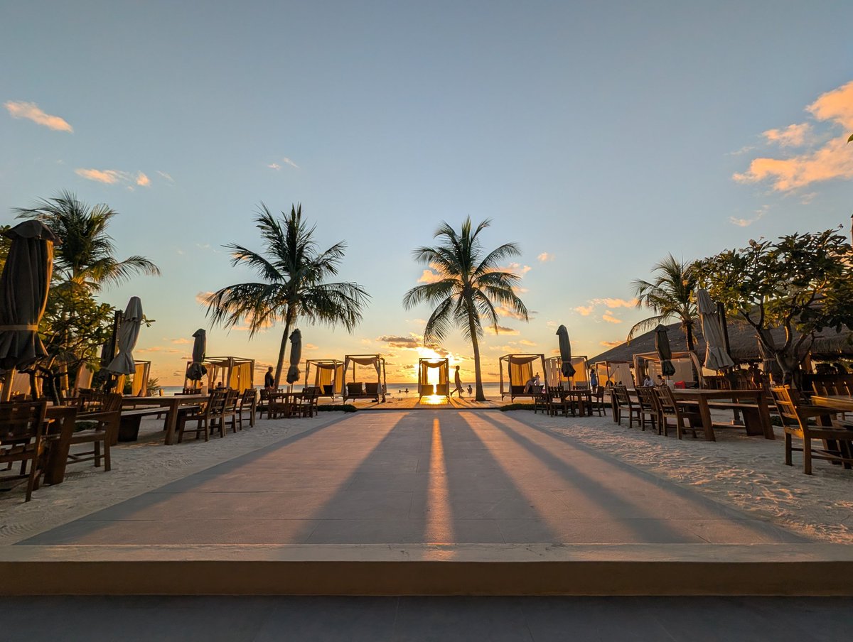 binlingual tweet media