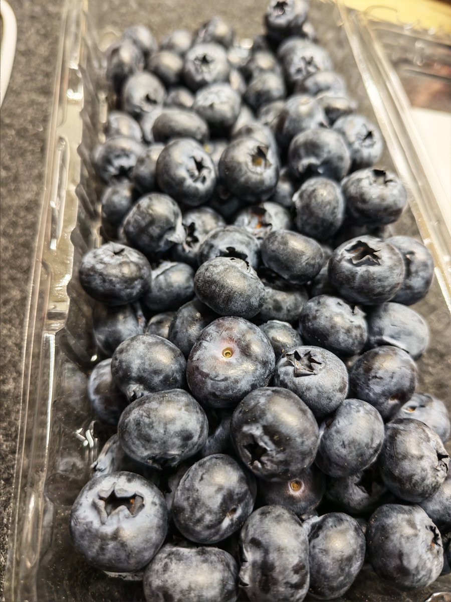 想吃桑葚橘子柚 tweet media