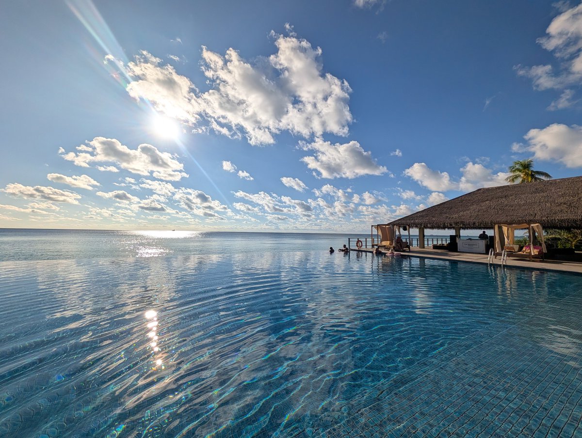 binlingual tweet media