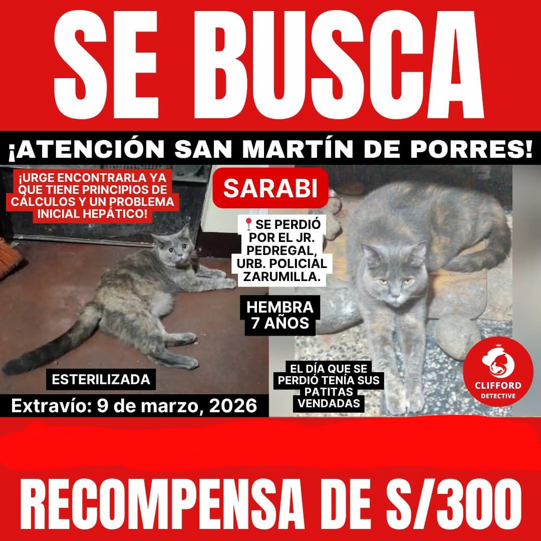 🔞 Bunny M. 🦇 tweet media