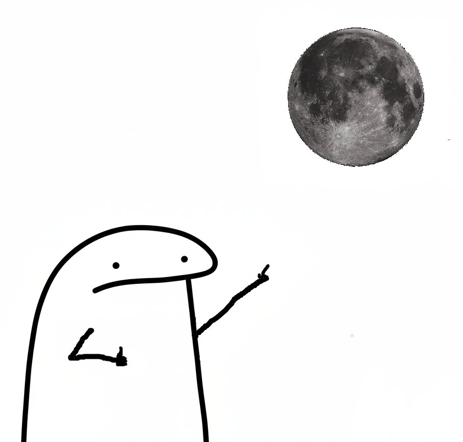 HerdOfFlorks tweet media