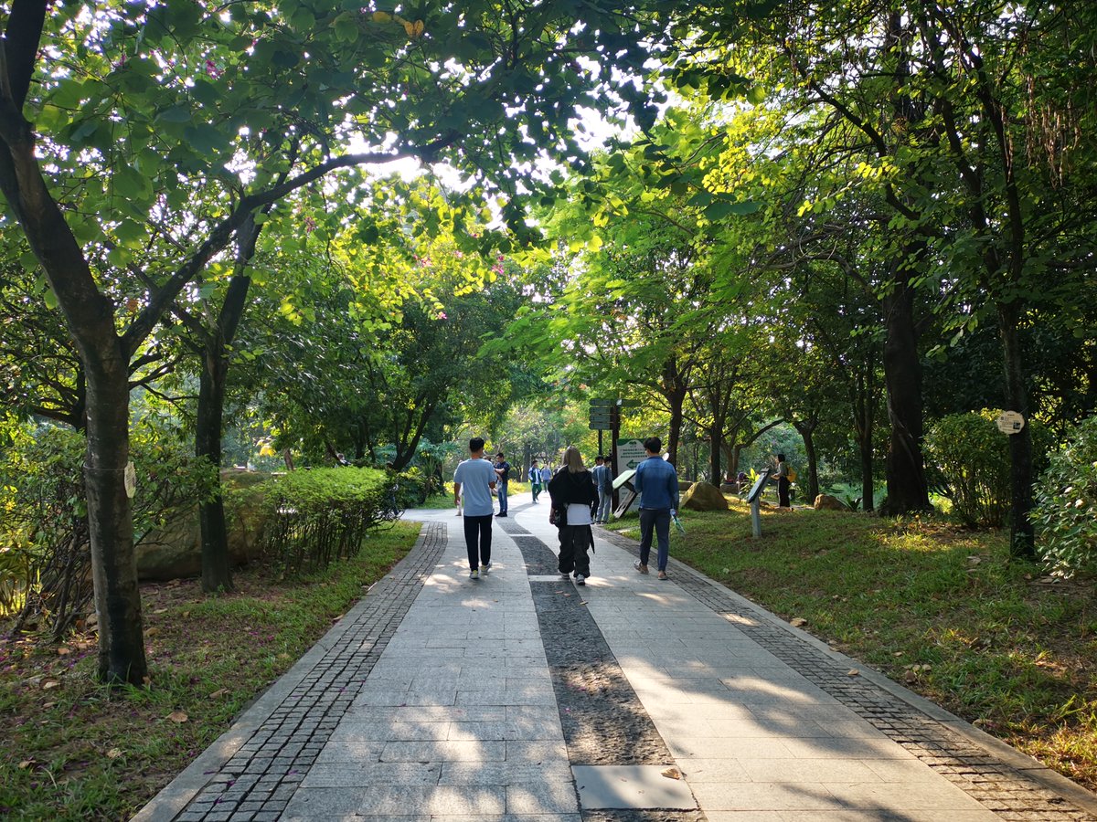 Tomos Roberts tweet media