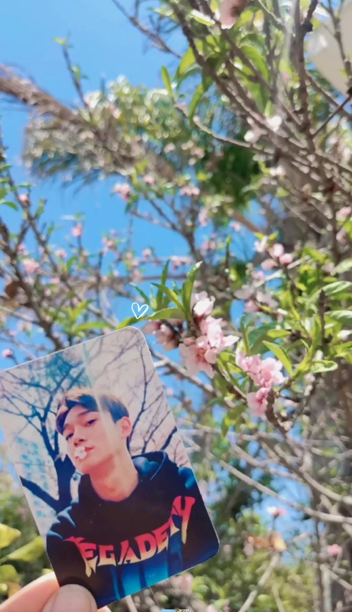 Mistywiccx tweet media