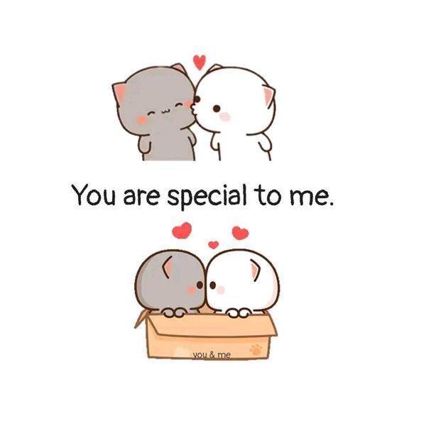 Feelings tweet media