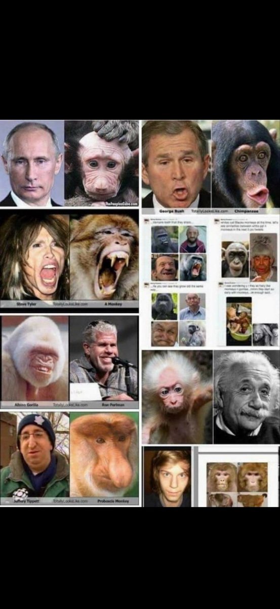 JT The Juggaknot tweet media