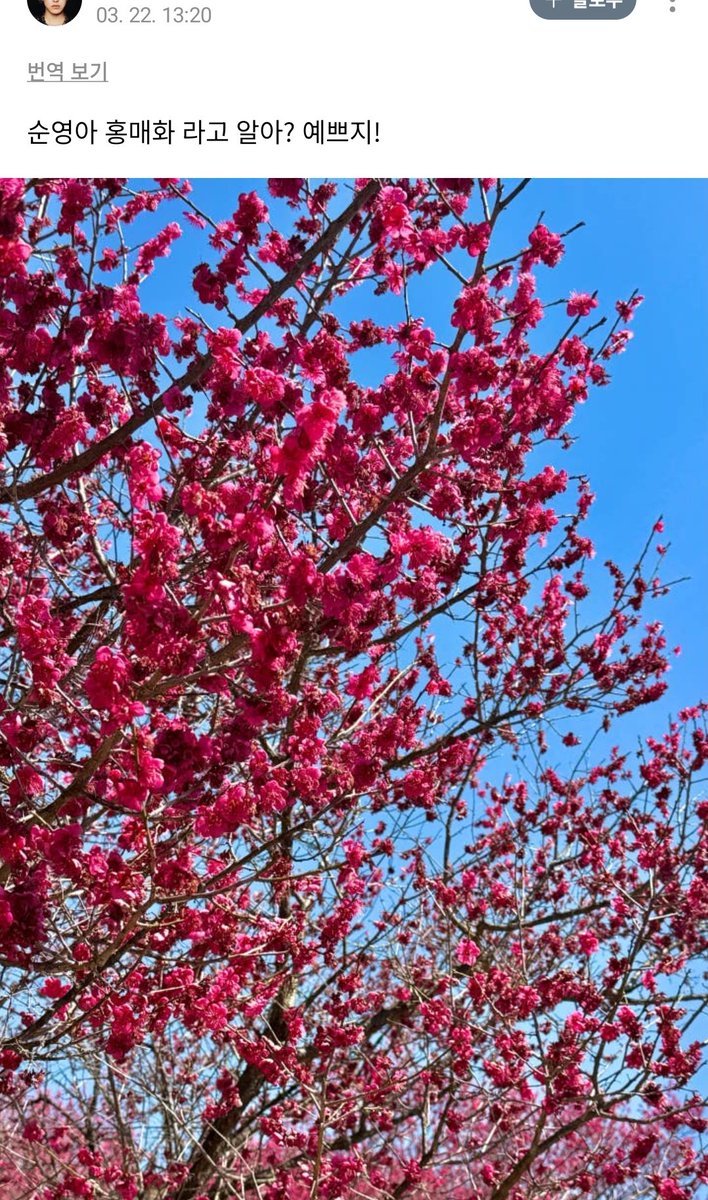 🦌💎 tweet media