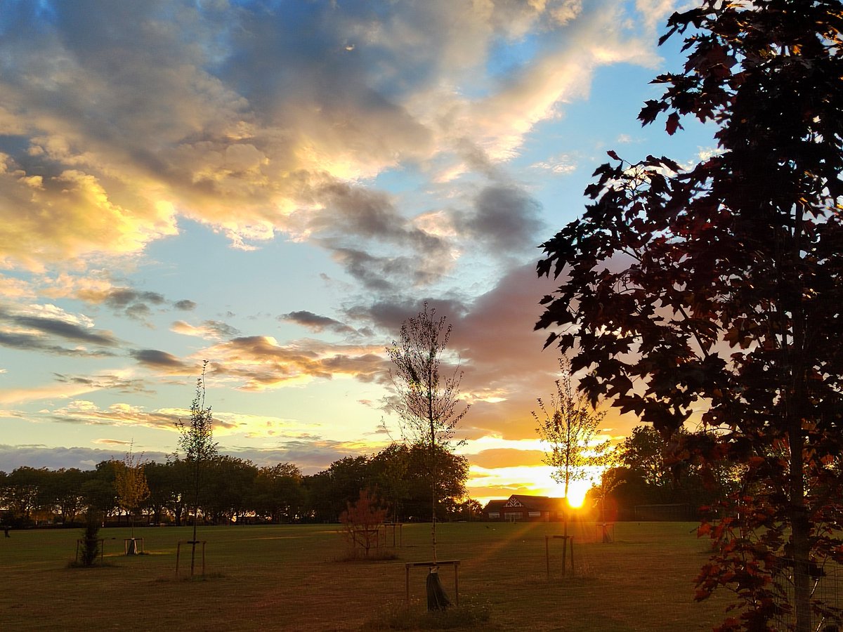 diego la rosa asqui tweet media