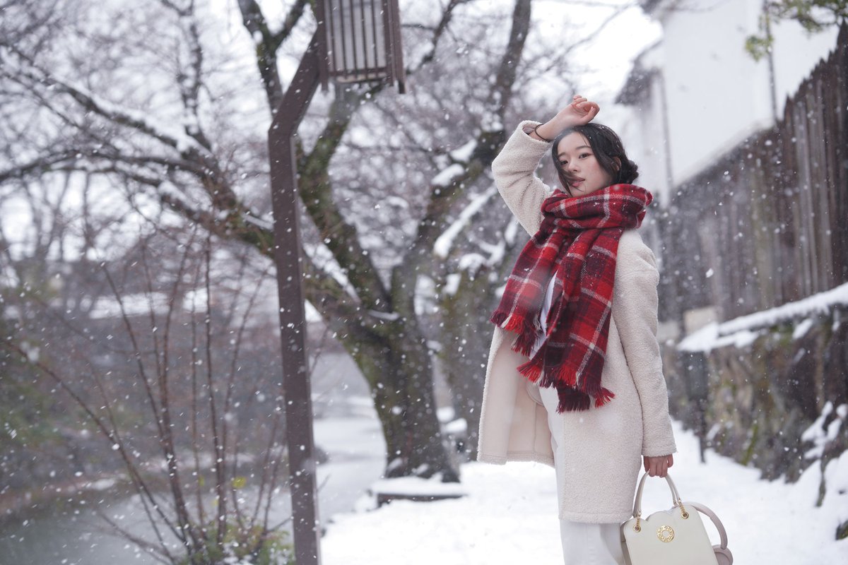 ボンドリオン tweet media