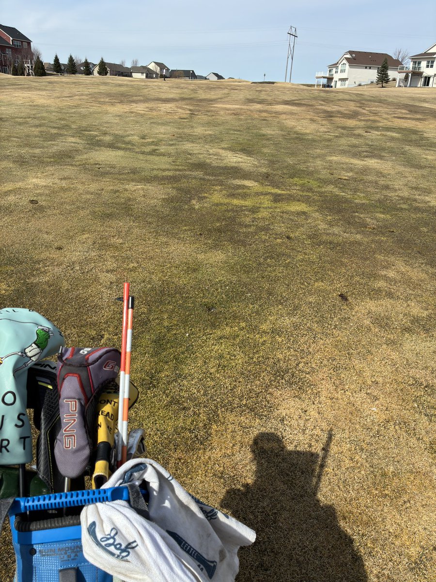 MNLH Golf tweet media