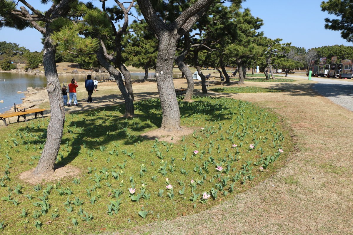 海の中道海浜公園 tweet media