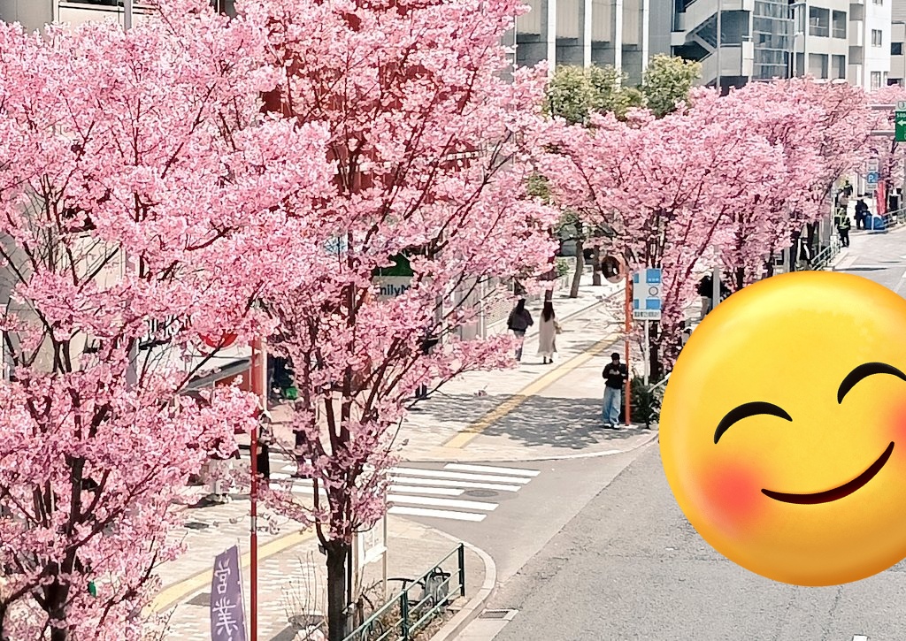 うめちゃん tweet media