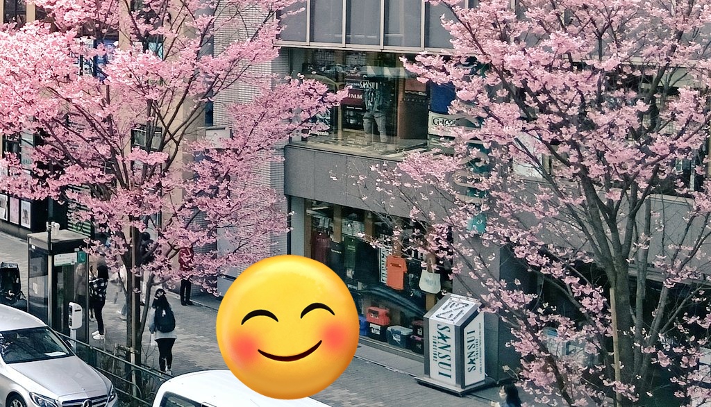 うめちゃん tweet media