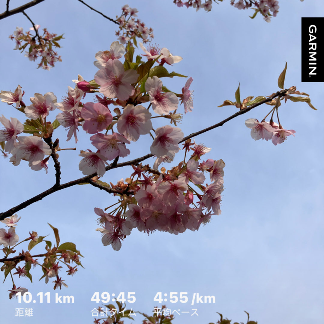 れんこん tweet media