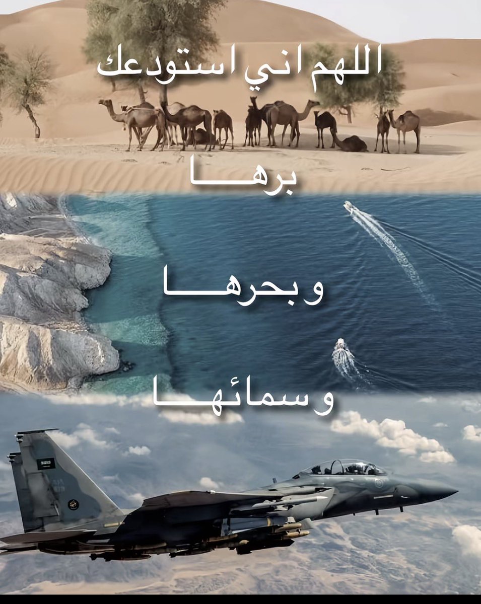 🇸🇦 tweet media