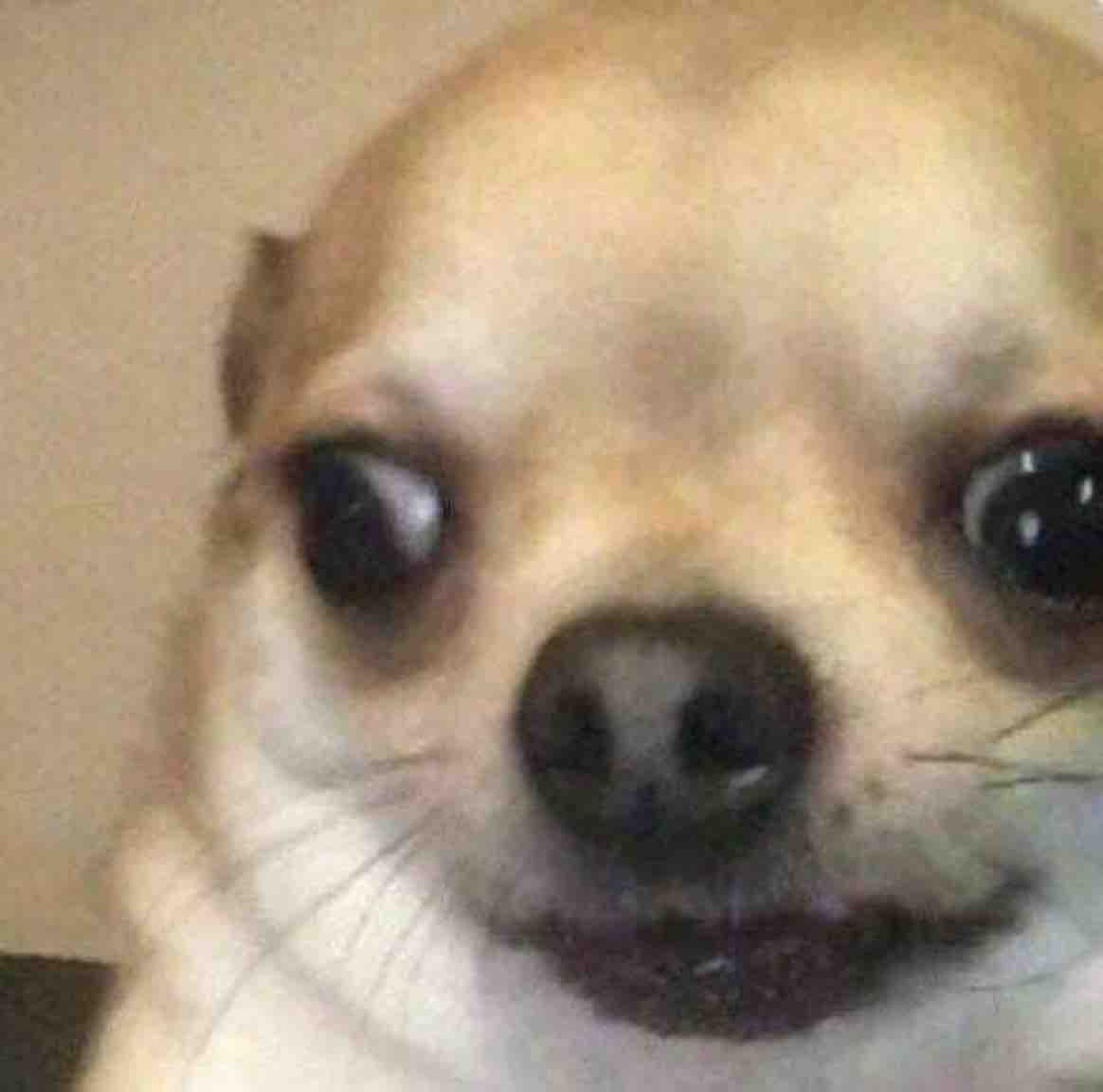 QUIÉN CHUCHA VA A GANAR EN YO SOYYYYY