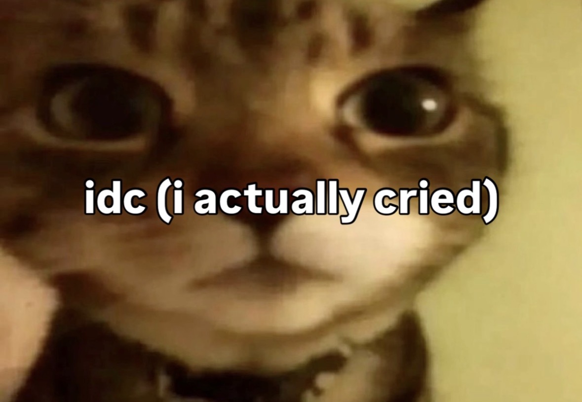 raccoon aesthetic. tweet media