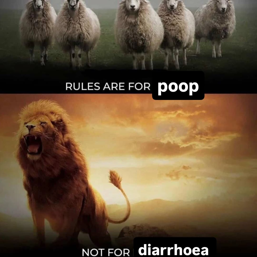 ja-hamon 🪓 tweet media