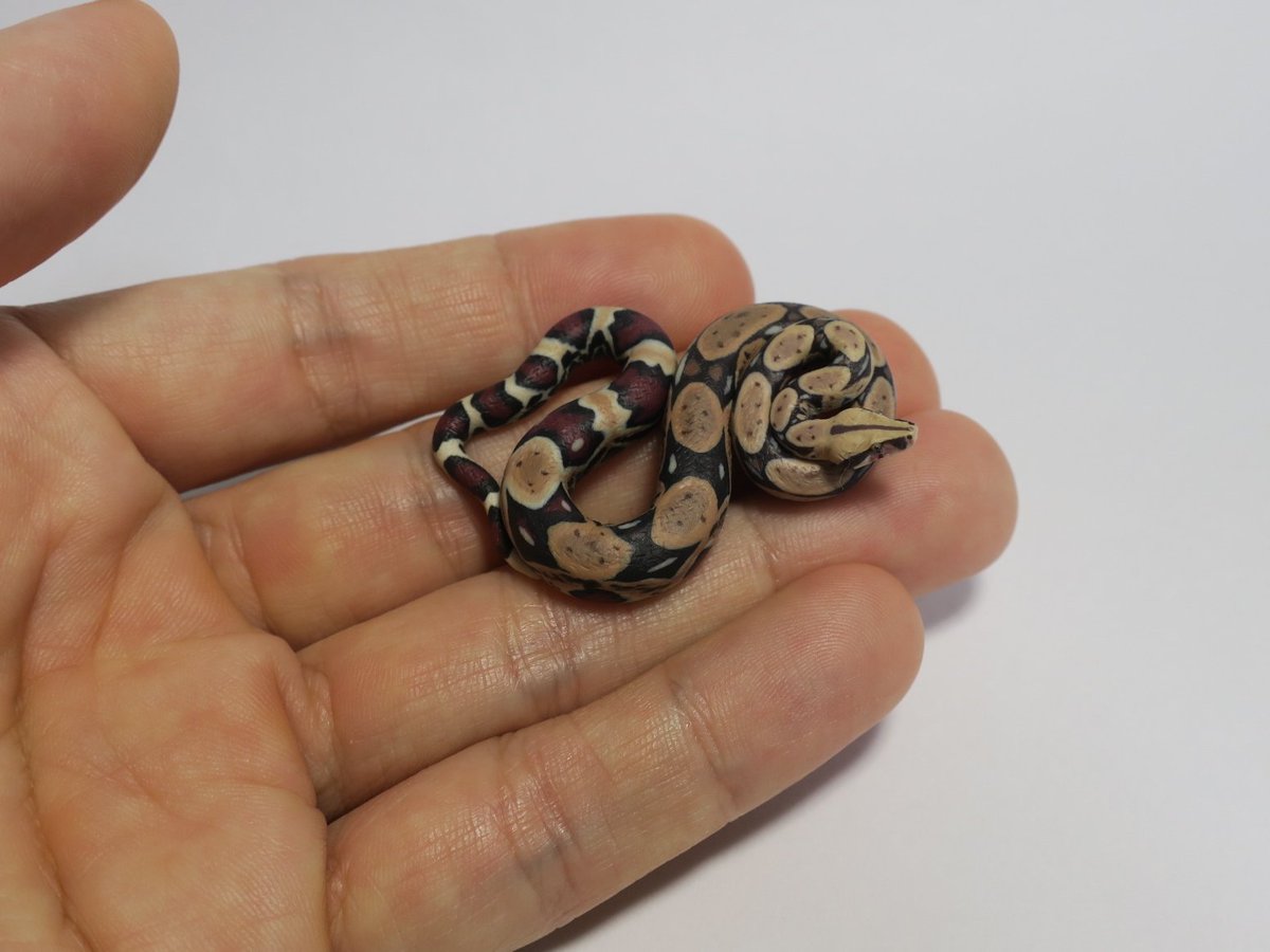 ボアコンの・・・なんだっけ？