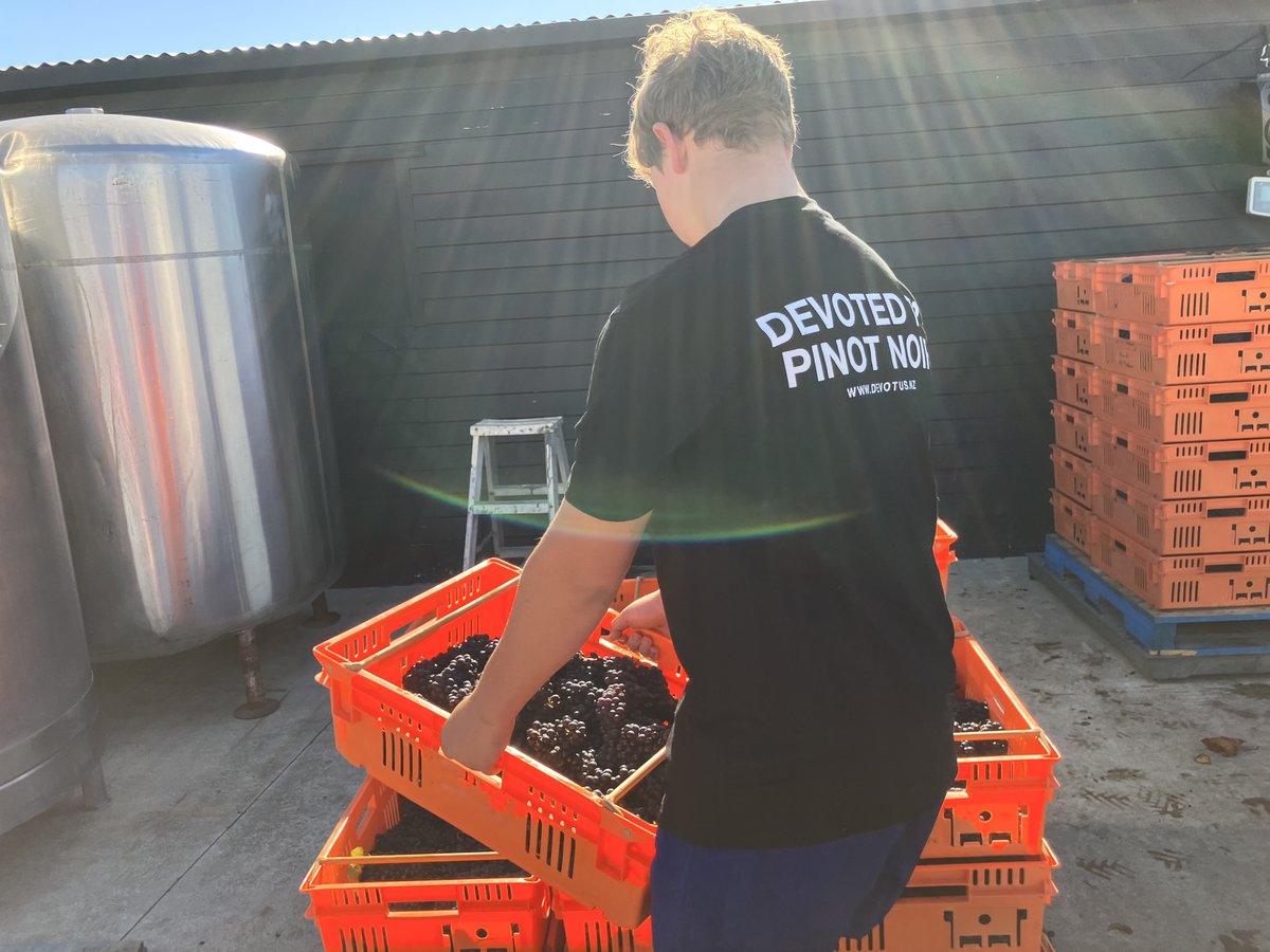 D E V O T U S tweet media