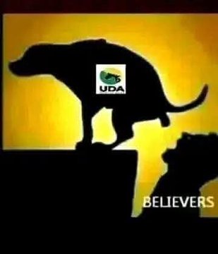 iamthatguy tweet media