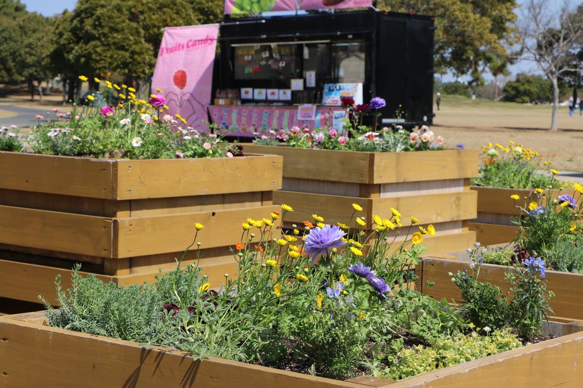 海の中道海浜公園 tweet media