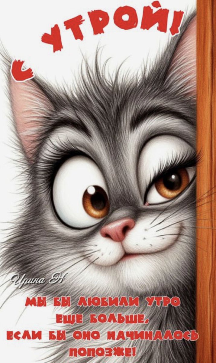 PaVel GuZev 🇷🇺 Real hero of girlish dreams! 🇷🇺 tweet media