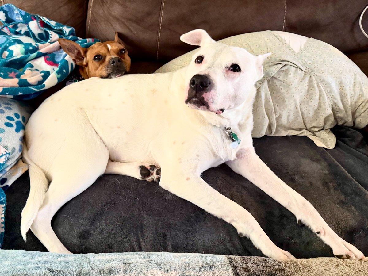 Cristina Eldridge tweet media