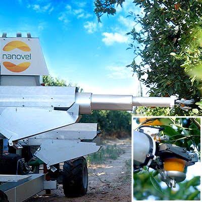 Moonphase tweet media